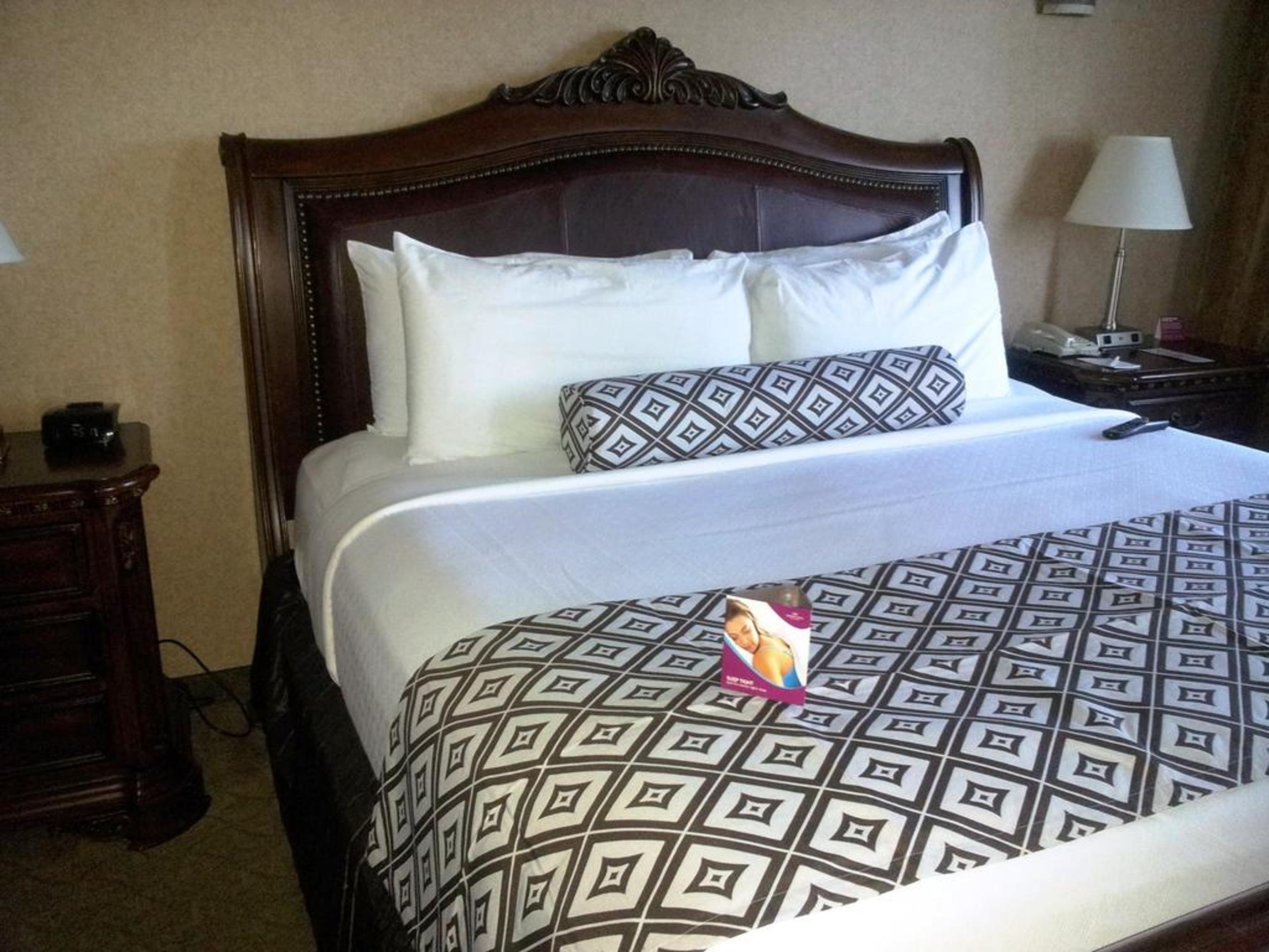 Wyndham Near Nrg Park/medical Center Hotel